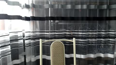 Lisa online show from 5, 10, 2025