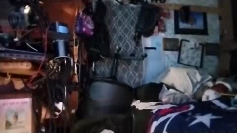 Mr. FogoDeChao online show from 11, 3, 2026