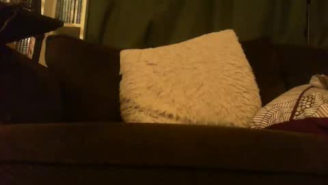 Snapshot of longlorne chatting on 12, 2, 2026 longlorne online show from 12, 2, 2026