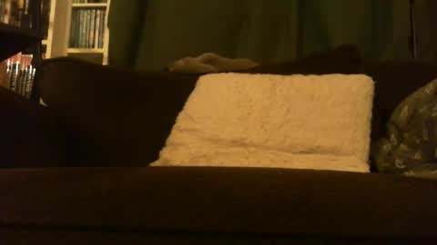 Snapshot of longlorne chatting on 15, 2, 2026 longlorne online show from 15, 2, 2026