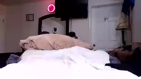 Snapshot of lookatmecum4you chatting on 17, 10, 2025 lookatmecum4you online show from 17, 10, 2025