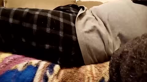 looking4bush online show from 1, 12, 2024