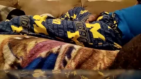 looking4bush online show from 25, 12, 2024