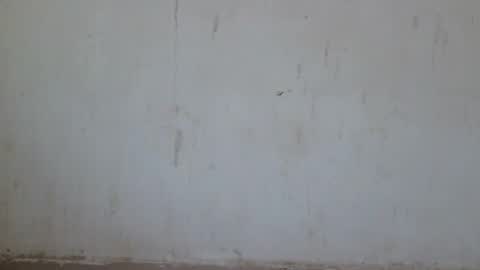 Snapshot of loraa_baby chatting on 28, 6, 2026 Loraa online show from 28, 6, 2026