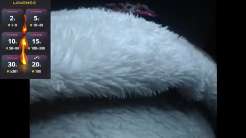 lorenitha online show from 27, 10, 2025