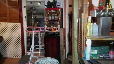 Lorelai Kane online show from 7, 1, 2026