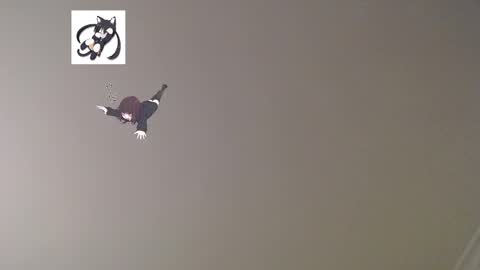 nefisa nef online show from 2, 3, 2025