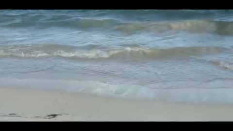 Louis online show from 5, 11, 2025