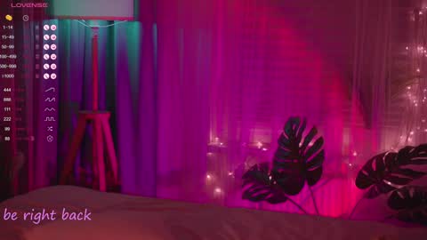 Nelly online show from 31, 1, 2025