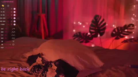 Nelly online show from 20, 2, 2025