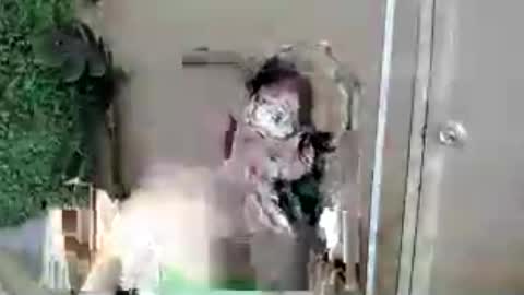 Snapshot of lovely_kimmyxx chatting on 13, 7, 2026 kimmy online show from 13, 7, 2026