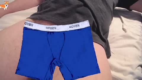  OLI online show from 12, 3, 2026