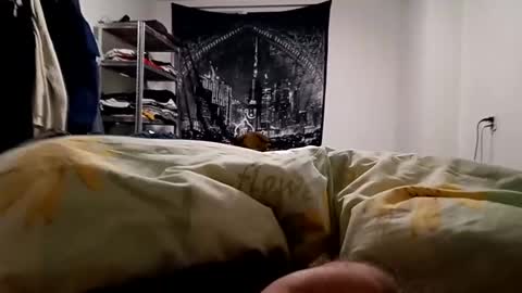 Snapshot of loveslick583698 chatting on 23, 12, 2024 Lovetlick online show from 23, 12, 2024