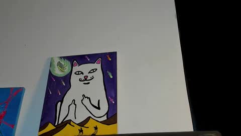 lovexjuxn77 online show from 7, 3, 2026