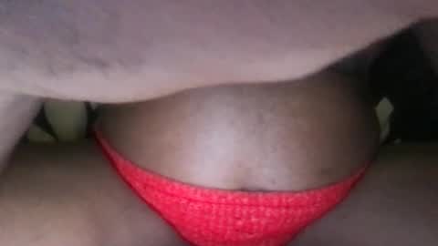 Dynasty online show from 26, 4, 2026