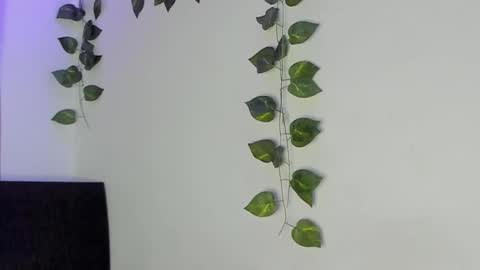 Jenn online show from 4, 2, 2026