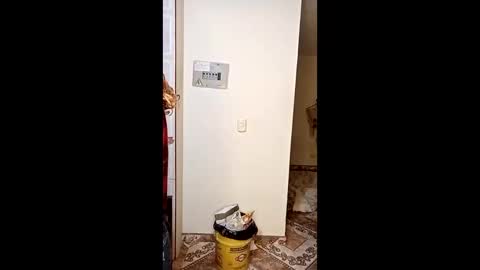 luana363 online show from 11, 1, 2026