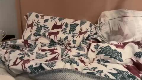 Snapshot of lucca_d123 chatting on 22, 9, 2025 lucca_d123 online show from 22, 9, 2025