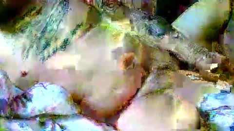 Snapshot of lucky134u chatting on 6, 4, 2026 lucky134u online show from 6, 4, 2026