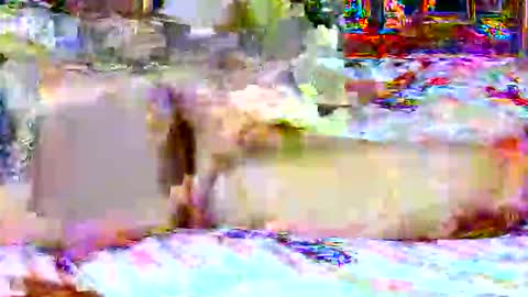 Snapshot of lucky134u chatting on 20, 4, 2026 lucky134u online show from 20, 4, 2026