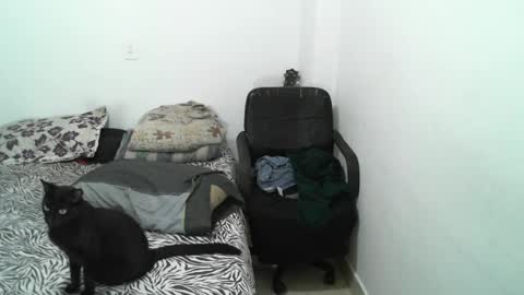 Lucky online show from 10, 1, 2025