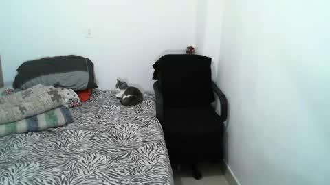 Lucky online show from 5, 2, 2025