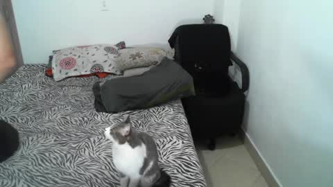 Lucky online show from 21, 2, 2025