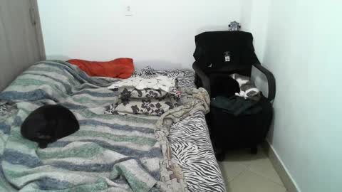 Lucky online show from 12, 3, 2025