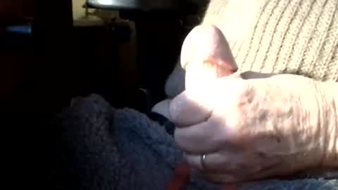 BIG Daddy cock. Tips make it harder  online show from 8, 3, 2026