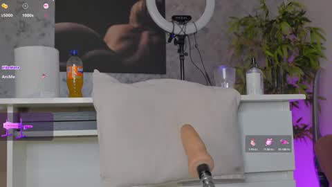 Alice online show from 8, 2, 2025