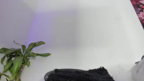 luciana online show from 21, 12, 2025