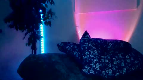 Snapshot of luisjg24hrs chatting on 18, 5, 2026 luisjg24hrs online show from 18, 5, 2026