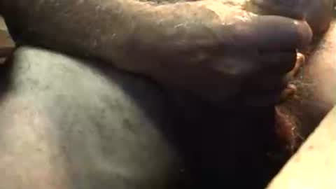 lukestarfckr online show from 5, 10, 2025