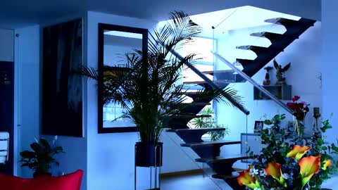 Snapshot of lukhass chatting on 8, 2, 2026 Lukhas f4f online show from 8, 2, 2026