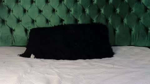 Snapshot of lumars_ chatting on 29, 1, 2025 Lumars online show from 29, 1, 2025