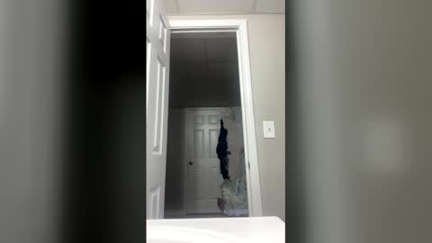 Snapshot of lunamoth00 chatting on 15, 12, 2025 lunamoth00 online show from 15, 12, 2025