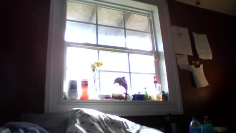 lunasecretadmirer online show from 14, 2, 2026