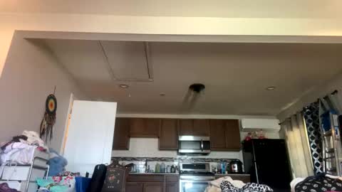 LUST online show from 8, 11, 2025