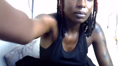 lutino_lovebirds online show from 13, 7, 2026