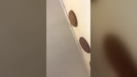 luxvietes online show from 17, 1, 2026