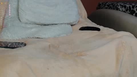 Palma online show from 18, 1, 2025