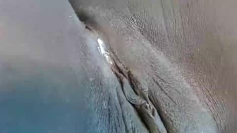 Snapshot of lyiajee chatting on 23, 9, 2025 lyiajee online show from 23, 9, 2025