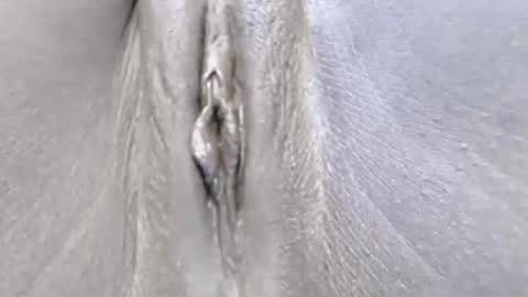 Snapshot of lyiajee chatting on 14, 10, 2025 lyiajee online show from 14, 10, 2025