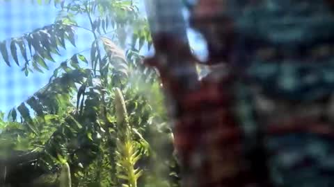 SLoppYxXPeeHoLeXxGspotxX online show from 15, 2, 2026