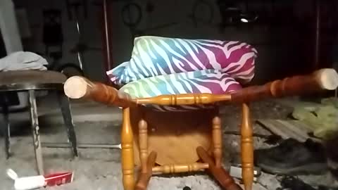 m46162328 online show from 24, 9, 2025