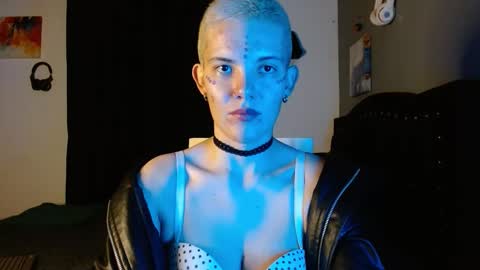 Noah Askew online show from 30, 11, 2025