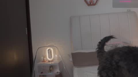 Valentina   1030   530  -  online show from 14, 2, 2026