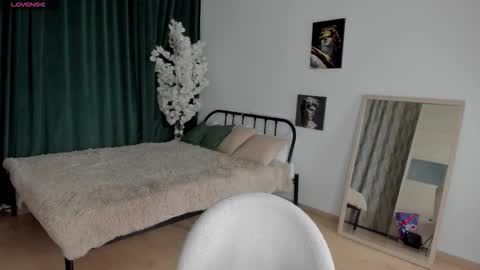 Medison online show from 26, 11, 2025