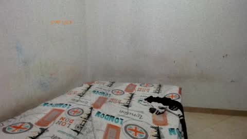 Snapshot of madisson__sexx chatting on 29, 5, 2026 Valentina online show from 29, 5, 2026