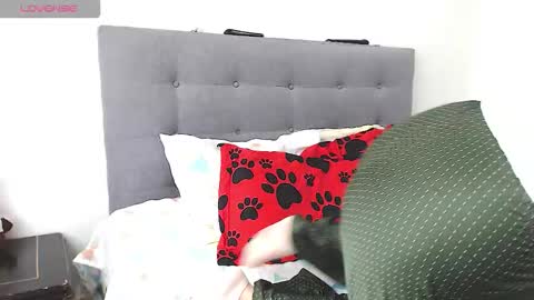 Snapshot of magic_stephany__ chatting on 4, 2, 2026 magic_stephany__ online show from 4, 2, 2026